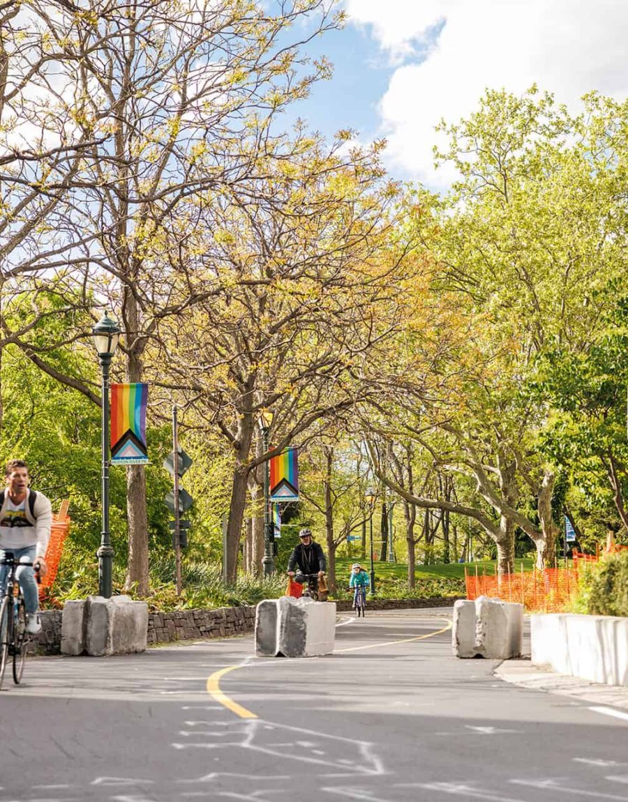 Bike trail through Chelsea Park with cement barriers and lined with trees and light posts with pride flags hanging off.